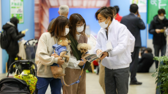 More exhibitors at Interpets Asia Pacific