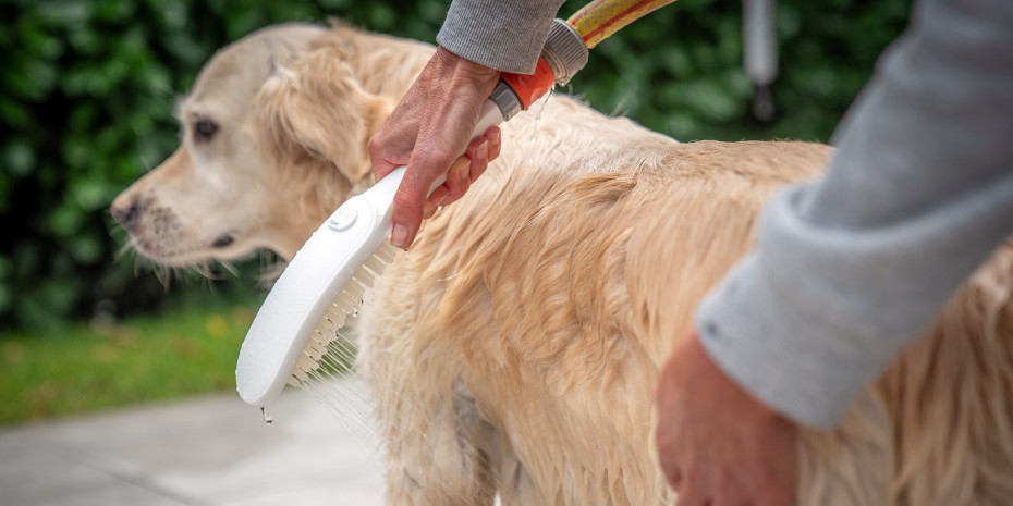 Wahl and Hansgrohe are together making coat care a more pleasant task. 