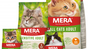 MERA Cats: All new! MERA Cats: All new!