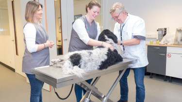 Prins Petfoods introduces veterinary training centre
