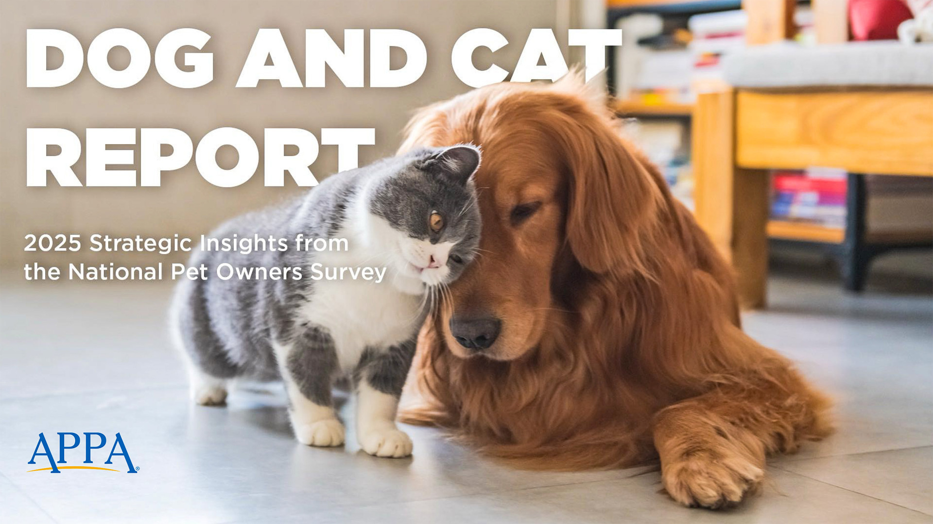 All time high in cat ownership - petworldwide
