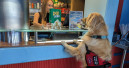 Butcher’s cooperates with PSD