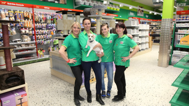 Seeking a successful niche