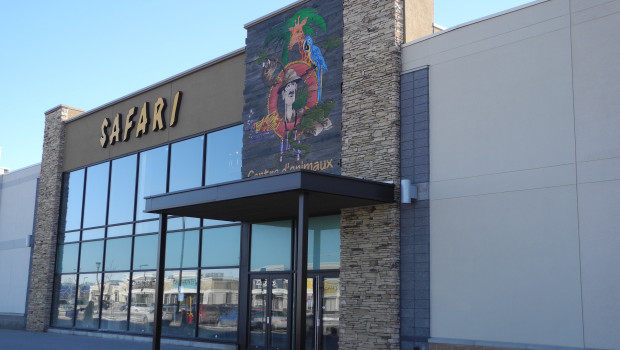 Safari Pet Center operates a number of stores in Canada. 