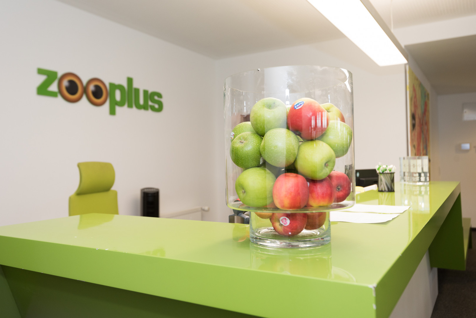 Zooplus introduces subscription mod... petworldwide