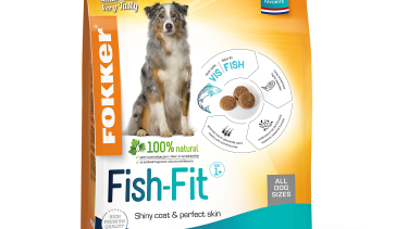 Fokker Fish-Fit 