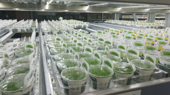 New labelling requirement for aquatic plants