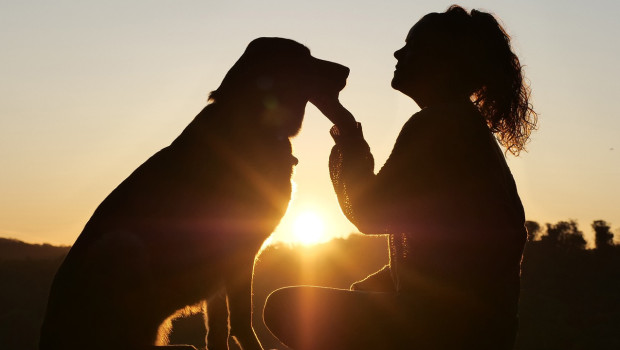 A key focus for Purina: scientific research into the relationship between humans and animals.