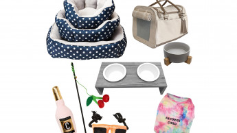 Cosmopolitan launches pet products