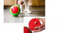 Foobler - an electronic treat feeder for dogs!