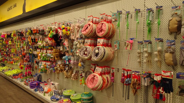 Pet trade grows by 29 per cent