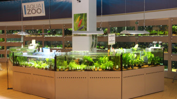 Kölle Zoo acquires five Megazoo outlets