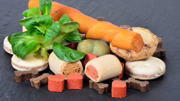 The US pet treat market continues to exhibit good growth potential. Photo: sonne_fleckl, Fotolia
