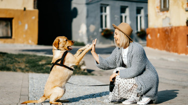 "Future-proof pet food needs added value"