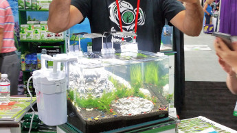 "Things move ­at a different pace"