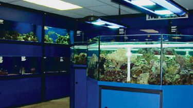 An important tool to secure customer loyalty