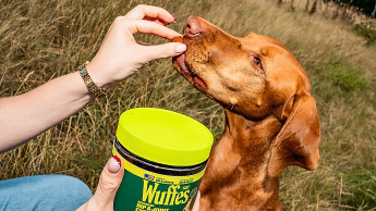 Wuffes rebrands as it expands into retail