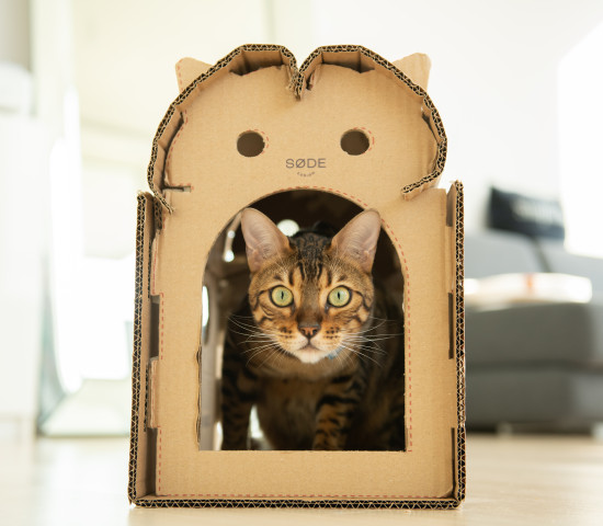 Scandi style, sustainable furniture for cats