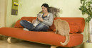 Mintel study on pets