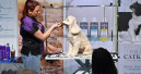 PATS 2026 expands Grooming Zone with retailer sessions