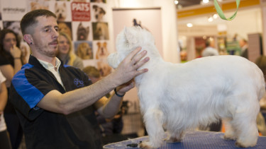 PATS Telford presents grooming programme