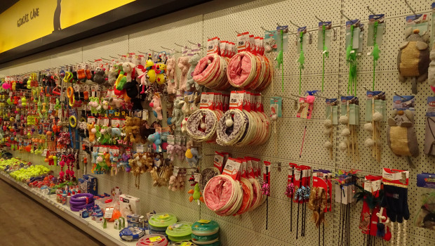 The international pet supplies trade fair Zoomark and the research company Nomisma have entered into a partnership to identify new knowledge on the non-food category of the pet industry in the months leading up to Zoomark 2025.