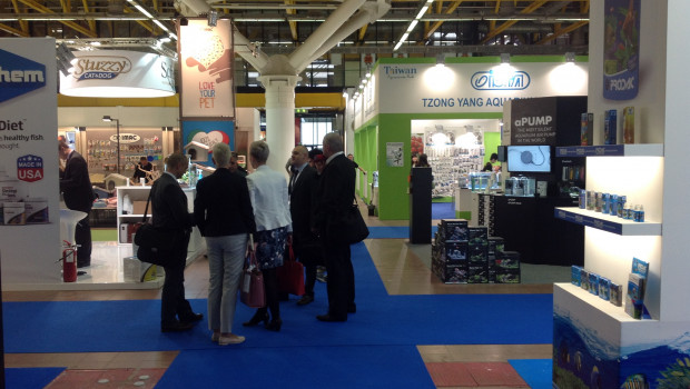 Zoomark International