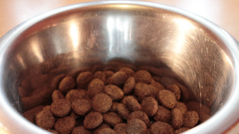 Class action suit against Mid America Pet Food