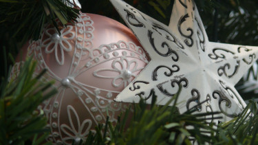 Season's greetings