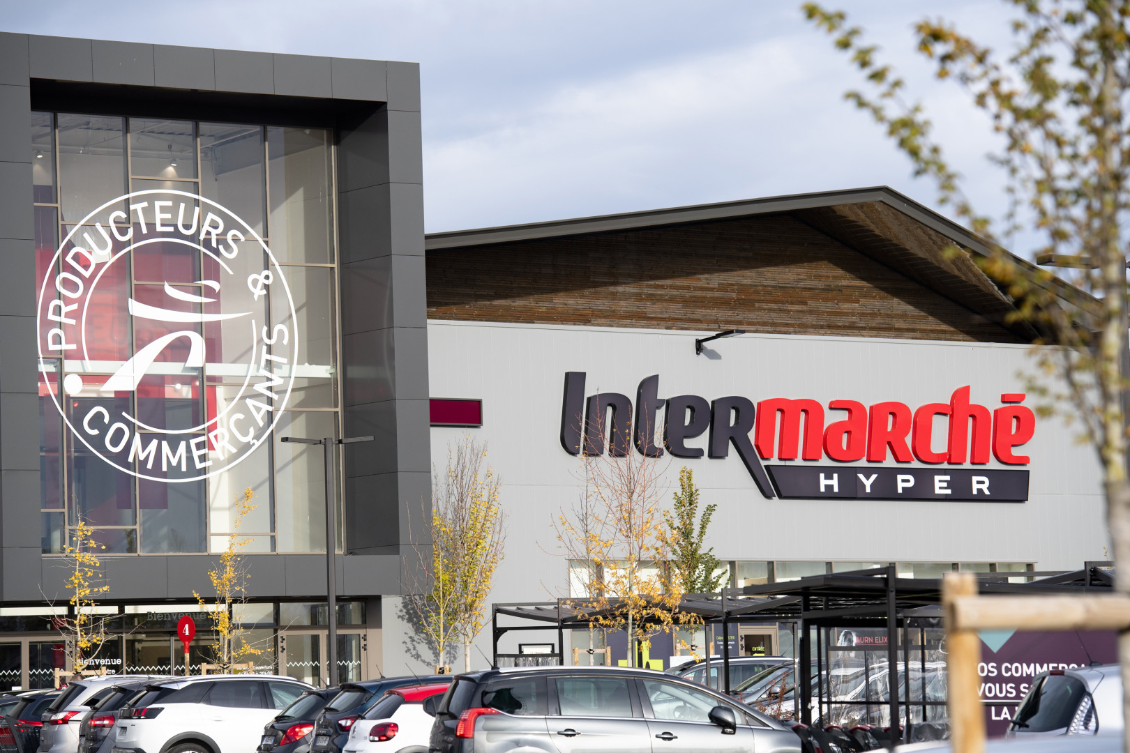 A fluid retail landscape petworldwide