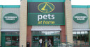 New reward card at Pets at Home