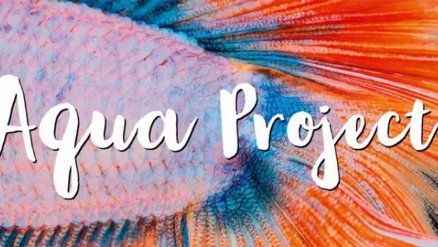 Aqua Project at Zoomark International