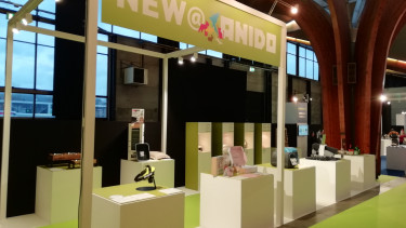 High expectations for Anido