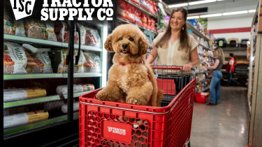 Tractor Supply adds more than 200 dog and cat products
