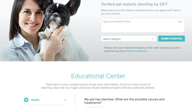 PetCoach is a pet advice website that helps pet owners to take better care of their pets. PetCoach is a pet advice website that helps pet owners to take better care of their pets.