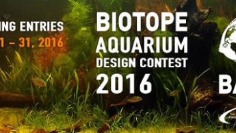 JBL invites submissions for the Biotope Aquarium Design Contest