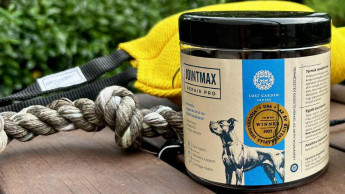 Lost Garden Canine wins US industry award