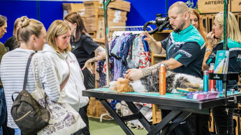 GroomFest launches major demo day in the UK