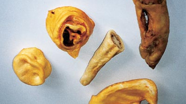 Natural treats for dogs