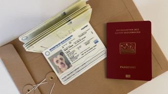 “Diplomatic immunity” for 20 petfluencers