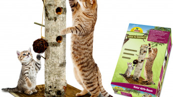 High-quality cat toy