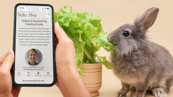 New ‘Supreme’ app for feeding advice