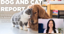 APPA releases dog and cat report 2025