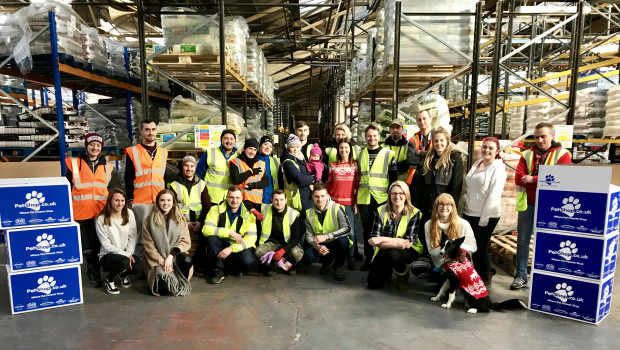 The team of Petshop.co.uk in Stratford. The team of Petshop.co.uk in Stratford.