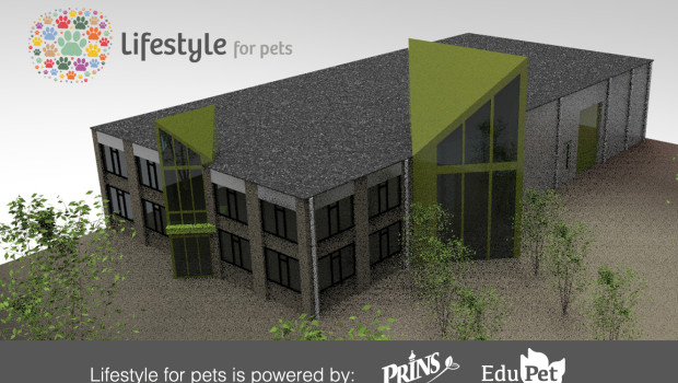 Lifestyle for Pets, Hunter, Bunny Lifestyle for Pets, Hunter, Bunny