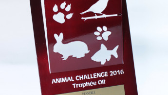 Dennerle best plant supplier once again Dennerle best plant supplier once again