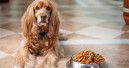 35.27 mio tons of pet food