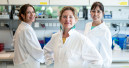 Food from cultured animal cells