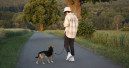 America’s dogs are becoming healthier