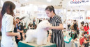 Ample opportunities in China's pet sector